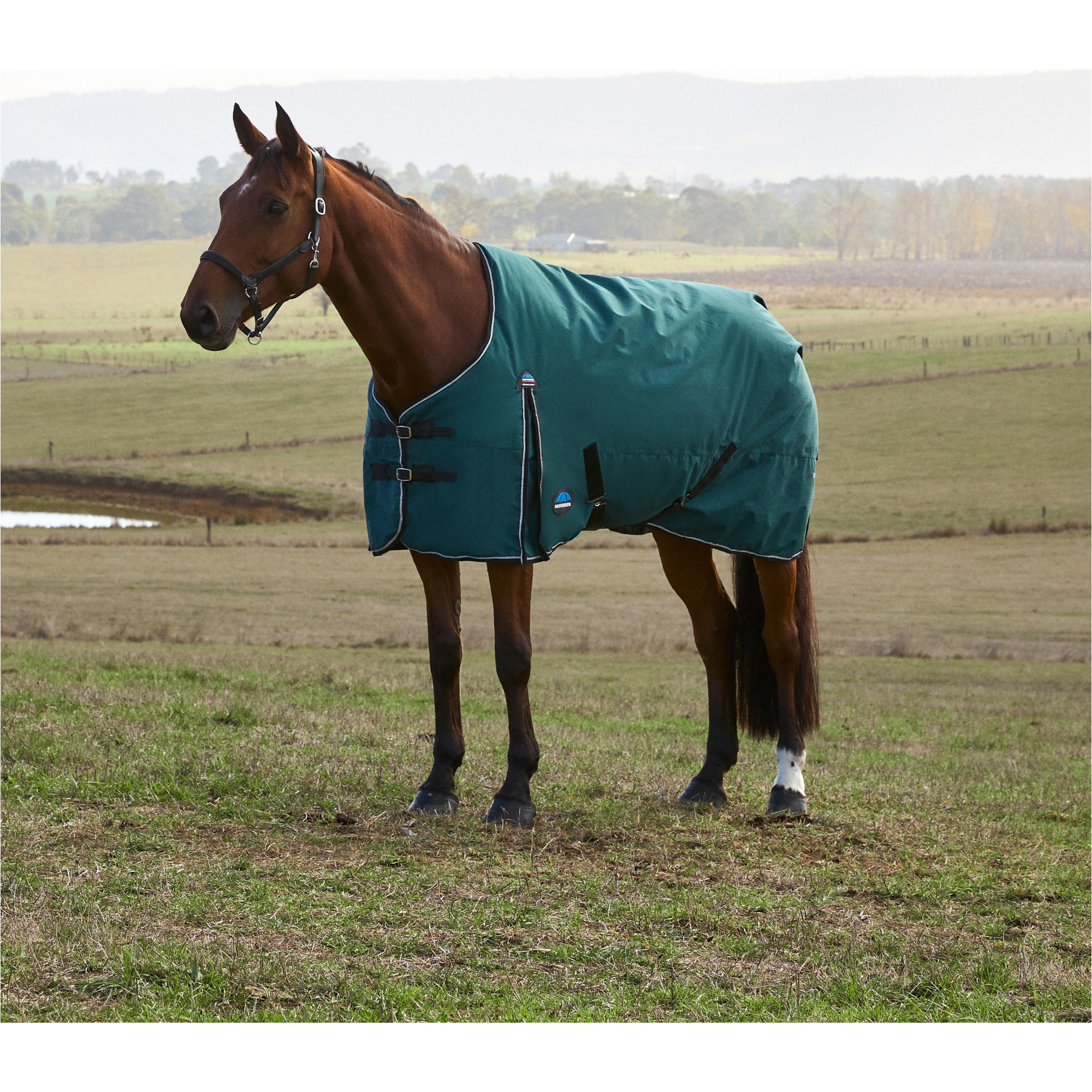2025 WeatherBeeta Comfitec Classic Turnout 1029070 - Forest Green